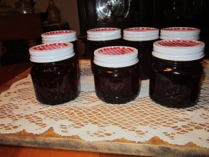 Fresh Blueberry Jam