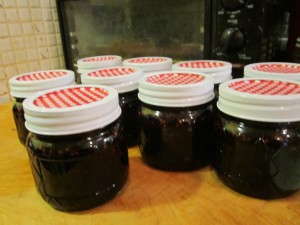 Fresh Blueberry Jam