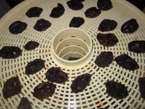 Drying Plums