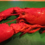 One yummy lobster