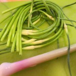 Garlic scapes and a scallion