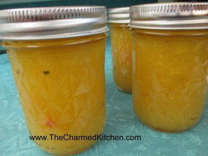 Vidalia Onion Relish