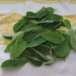 Place fresh basil on a towel and fold towel over the herbs