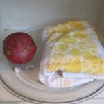 Place in microwave with a potato