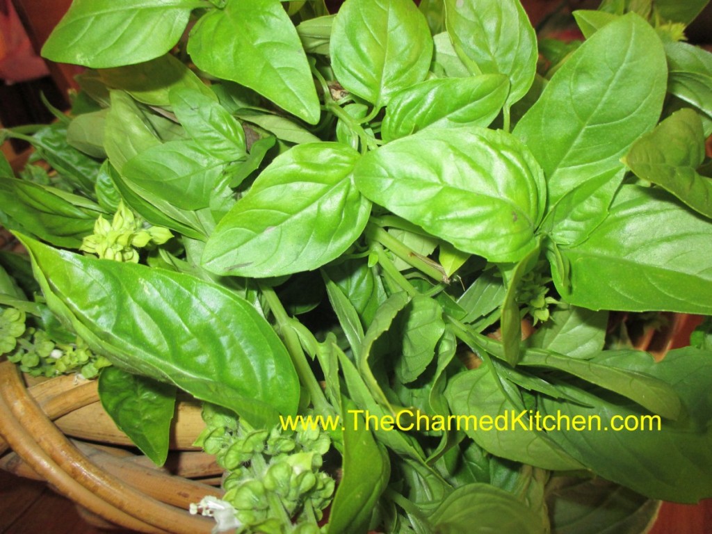 using a microwave to dry basil The Charmed Kitchen