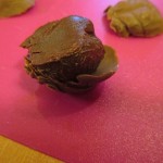 Place truffle filling in a chocolate "leaf" and top with another leaf.
