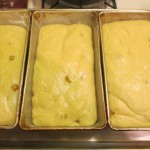 Babka dough rising
