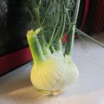 Fresh fennel. While called a bulb, it is actually a swollen stem.