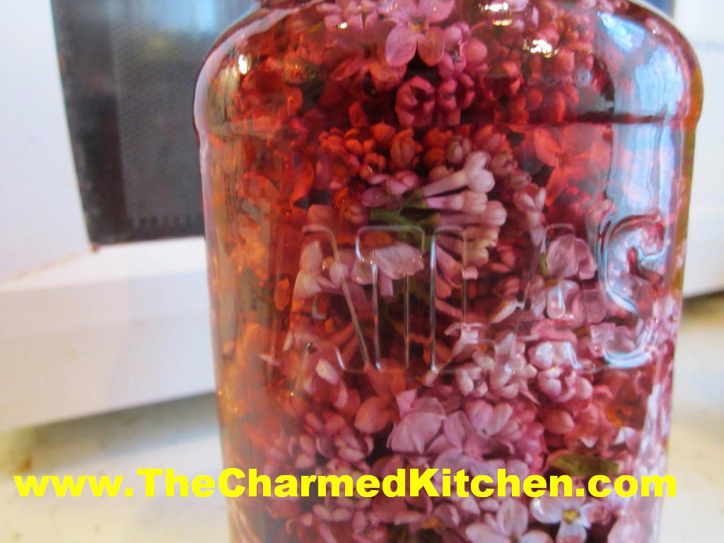 Dried Rose Petals (Jar) 