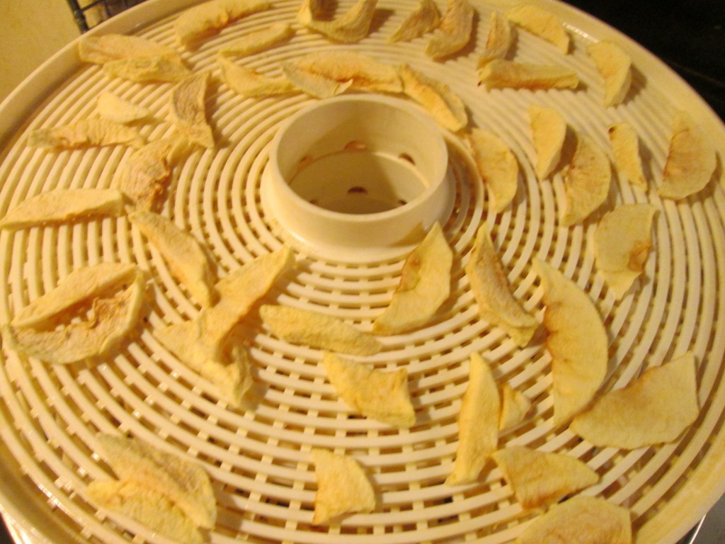 Drying Apples The Charmed Kitchen