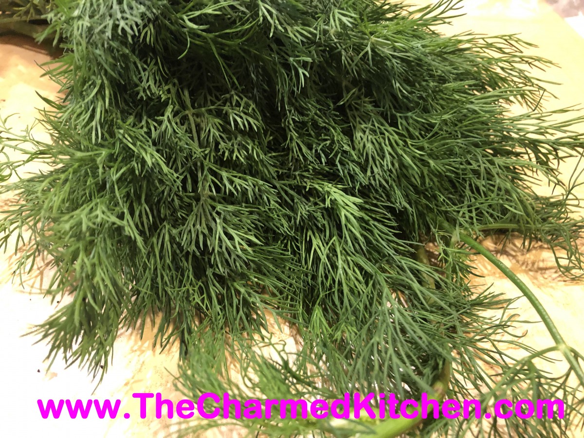 Growing and Cooking With Dill The Charmed Kitchen