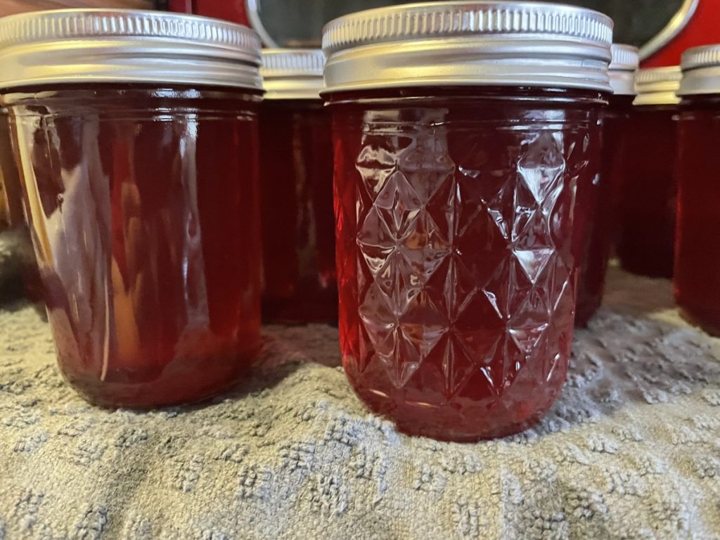 Homemade Grape Jelly